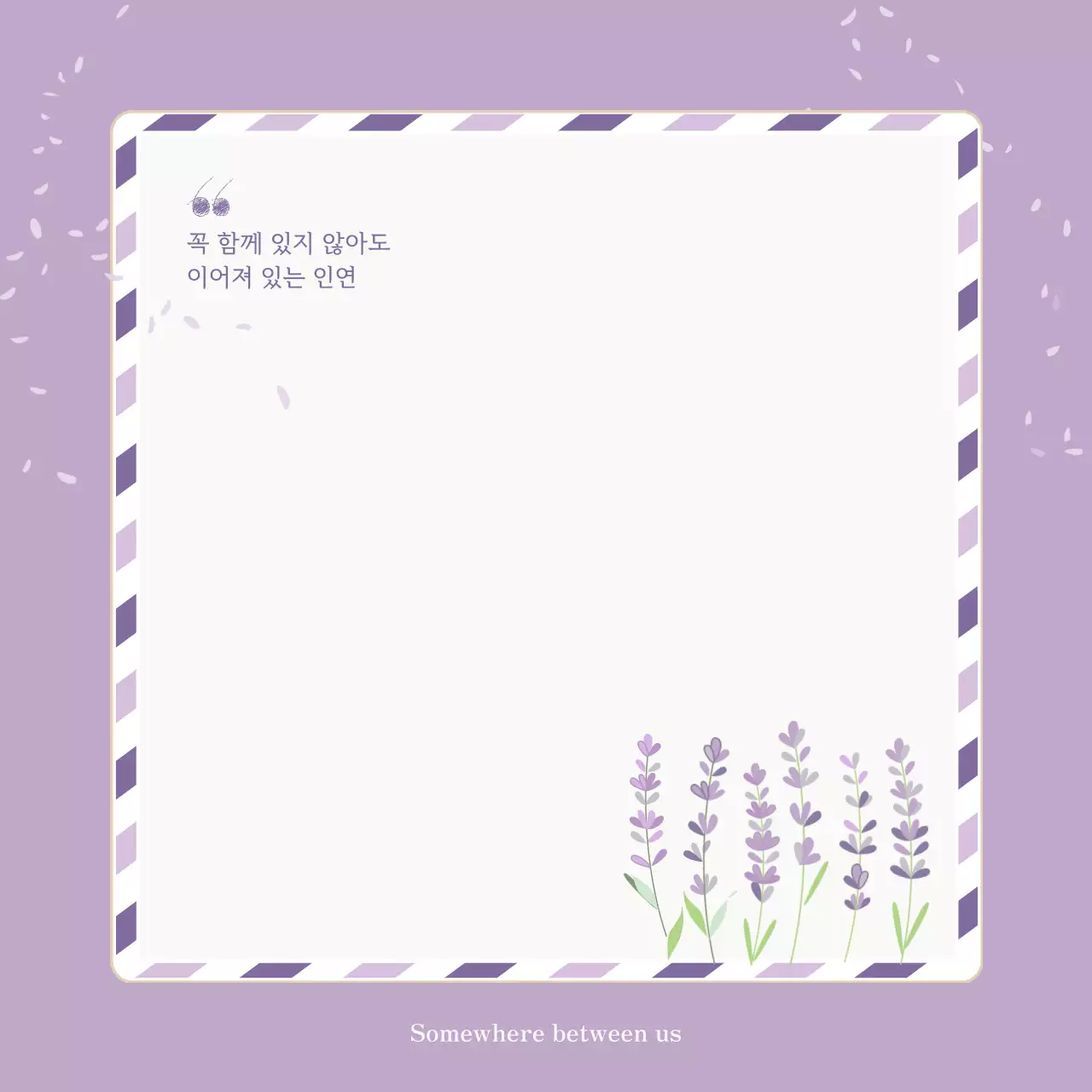 보라색 미니멀 편지 안내