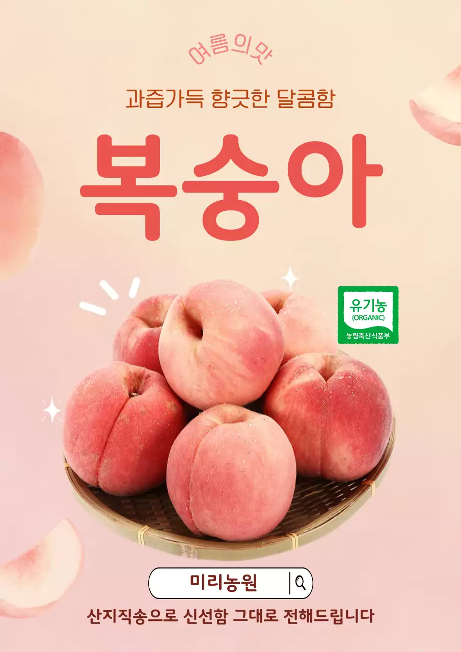 분홍 심플 복숭아 홍보