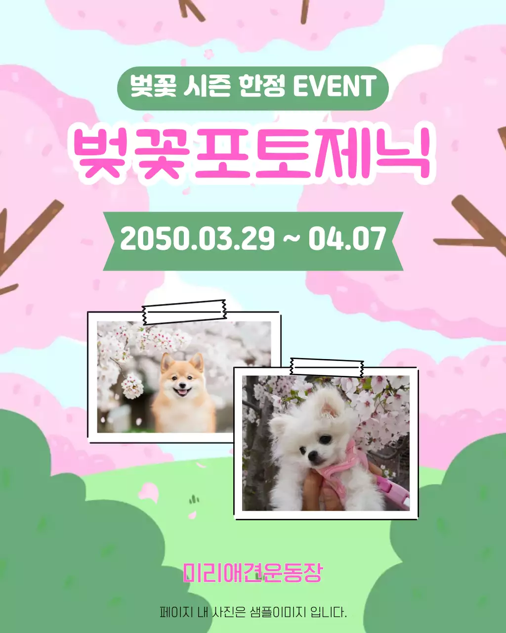 분홍 귀여운 벚꽃포토제닉 이벤트 안내