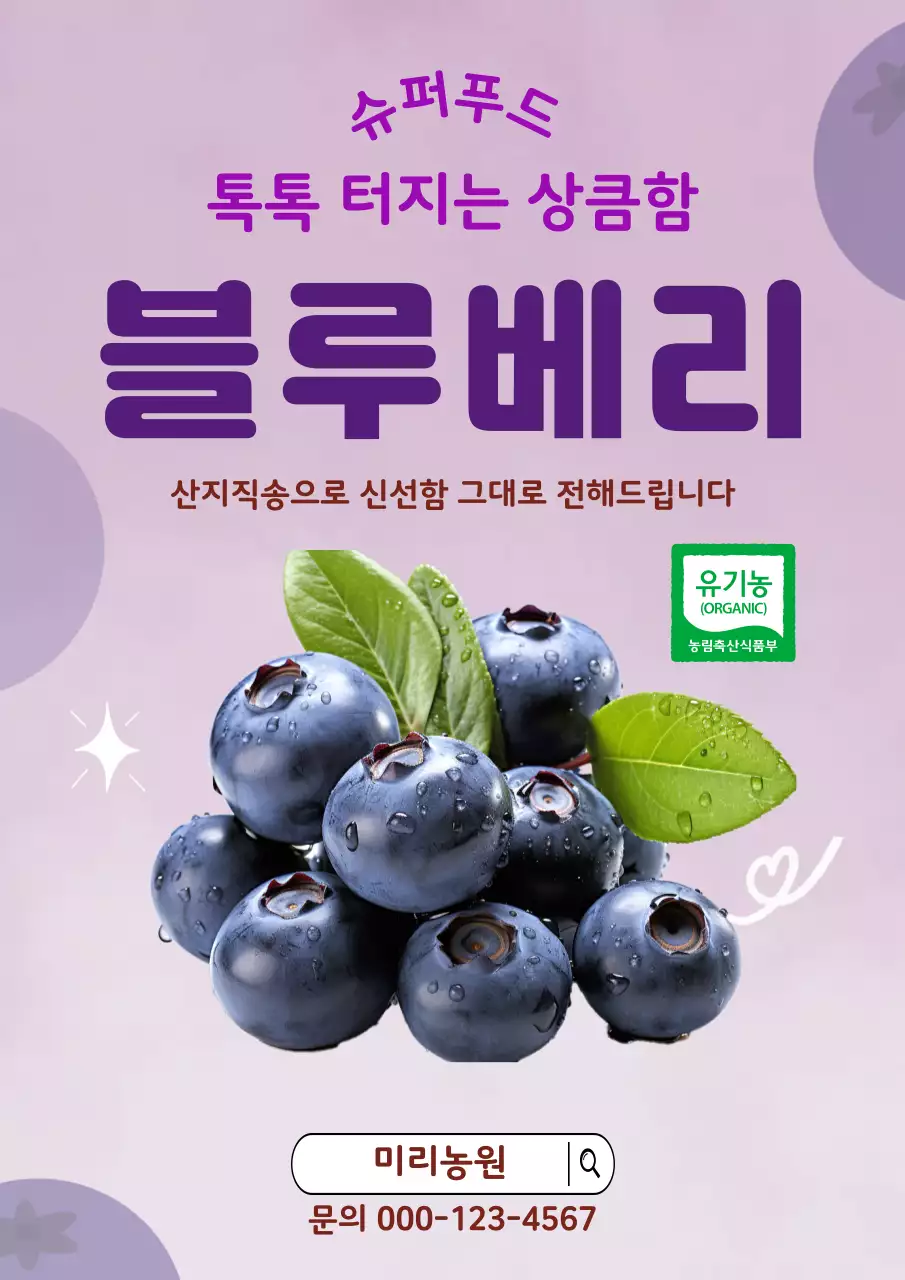 보라 미니멀 블루베리 홍보