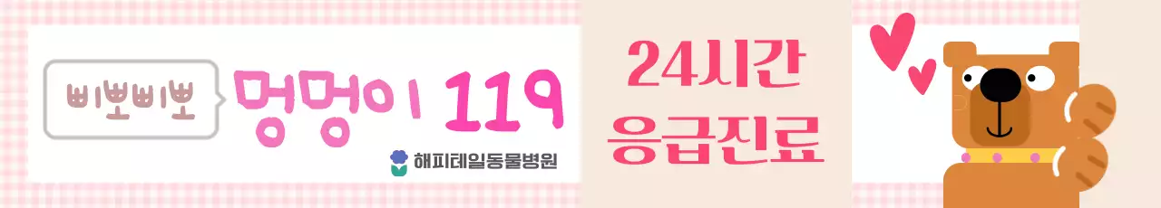 핑크 아기자기한 반려동물 병원 홍보