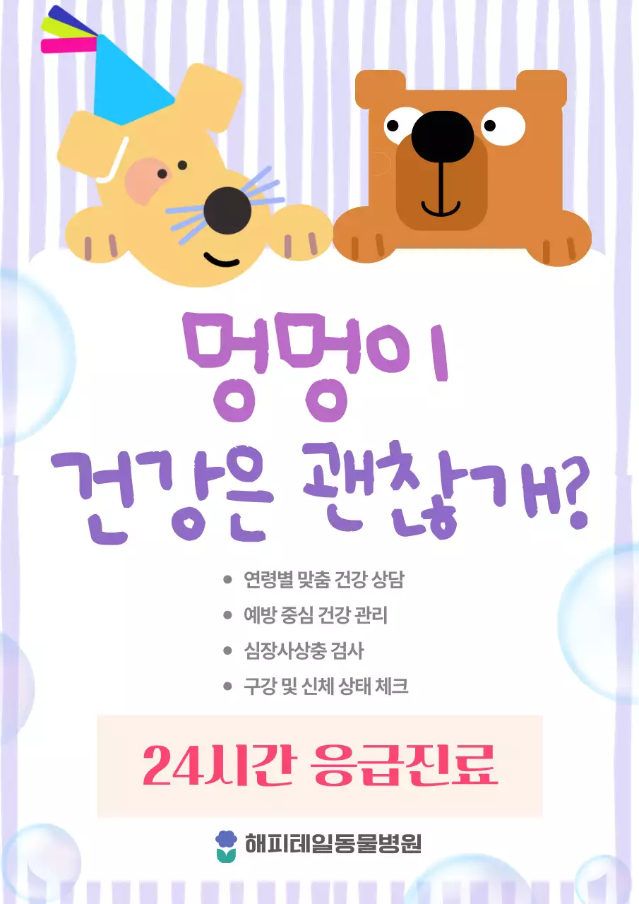 보라 아기자기한 반려동물 건강 안내