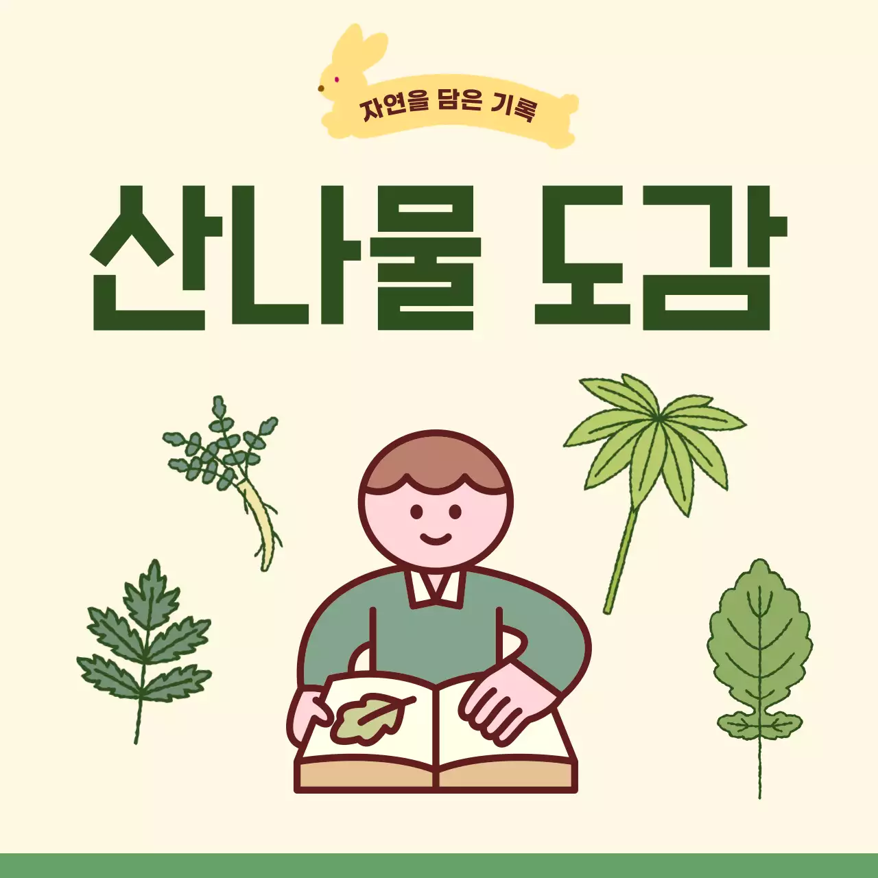 노랑 심플 산나물 도감 안내