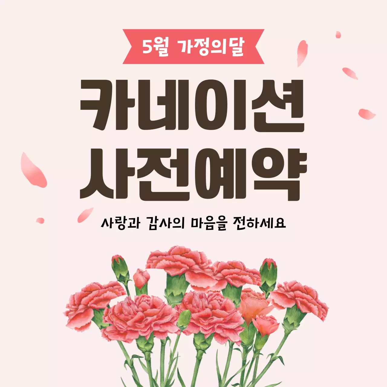 분홍색 심플 카네이션 예약 안내