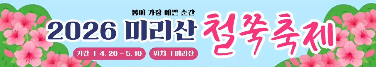 분홍 산뜻한 꽃 축제 안내