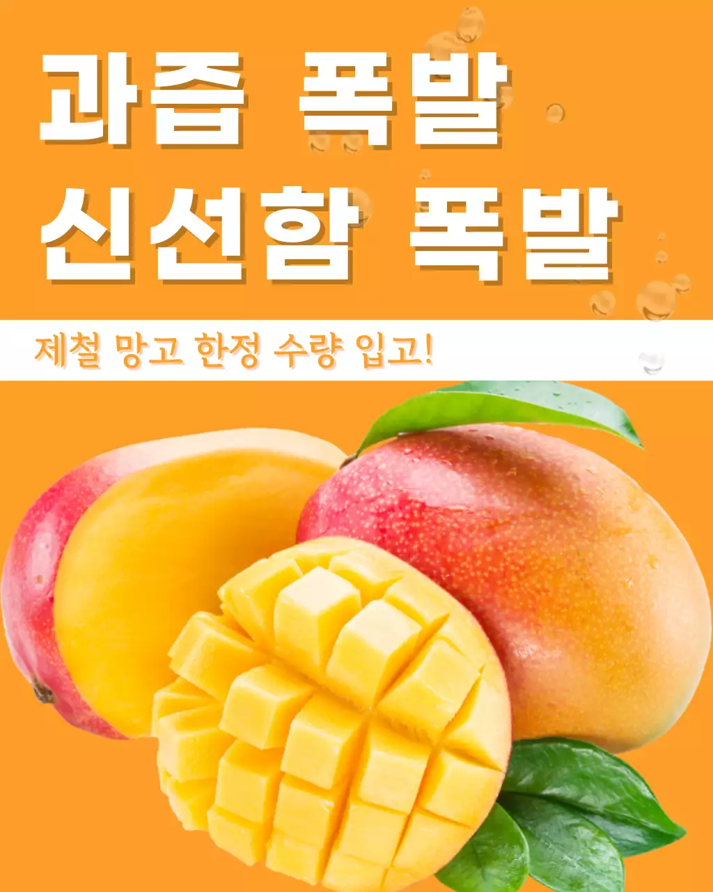 주황 심플 망고 과일 홍보