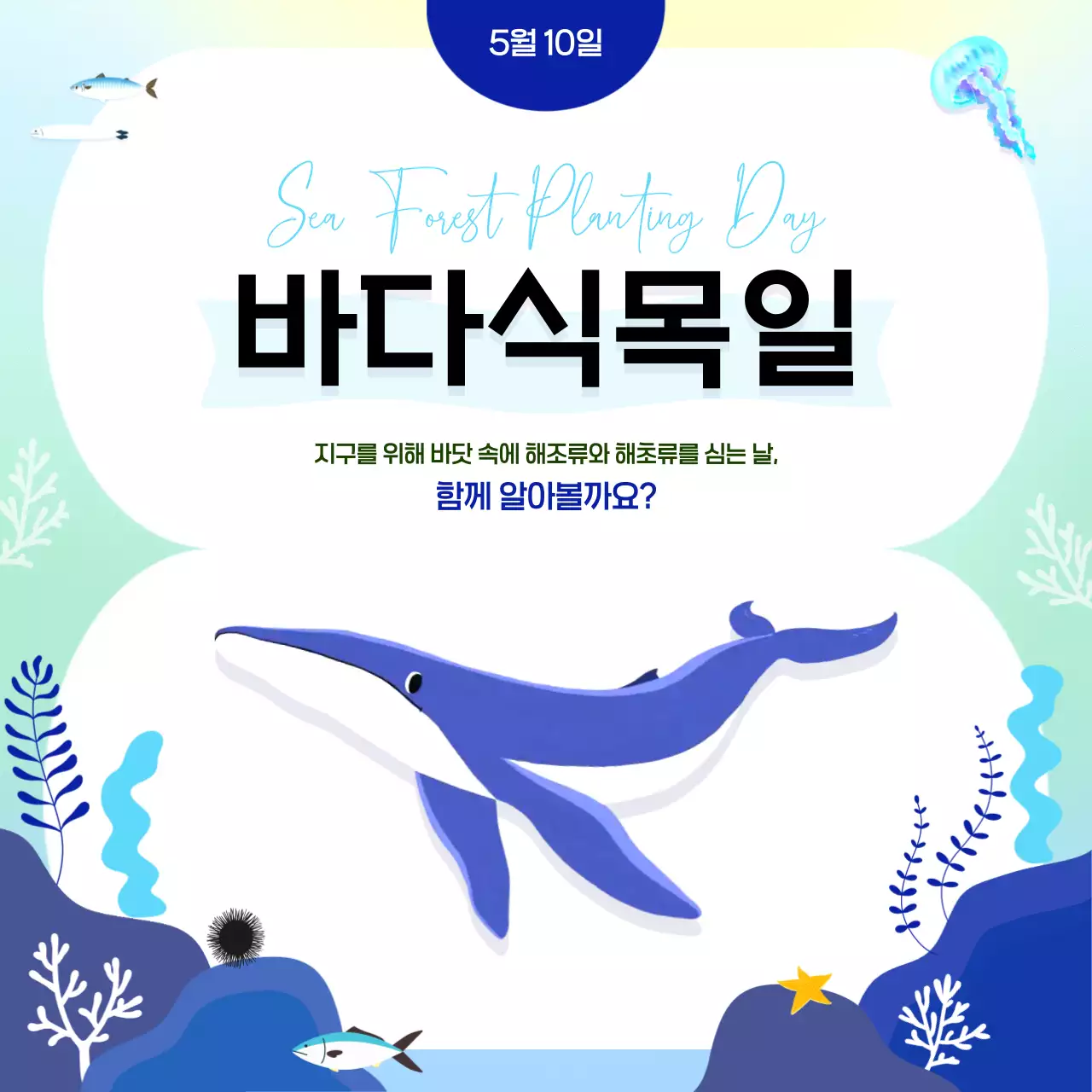 파랑 미니멀 바다식목일 안내