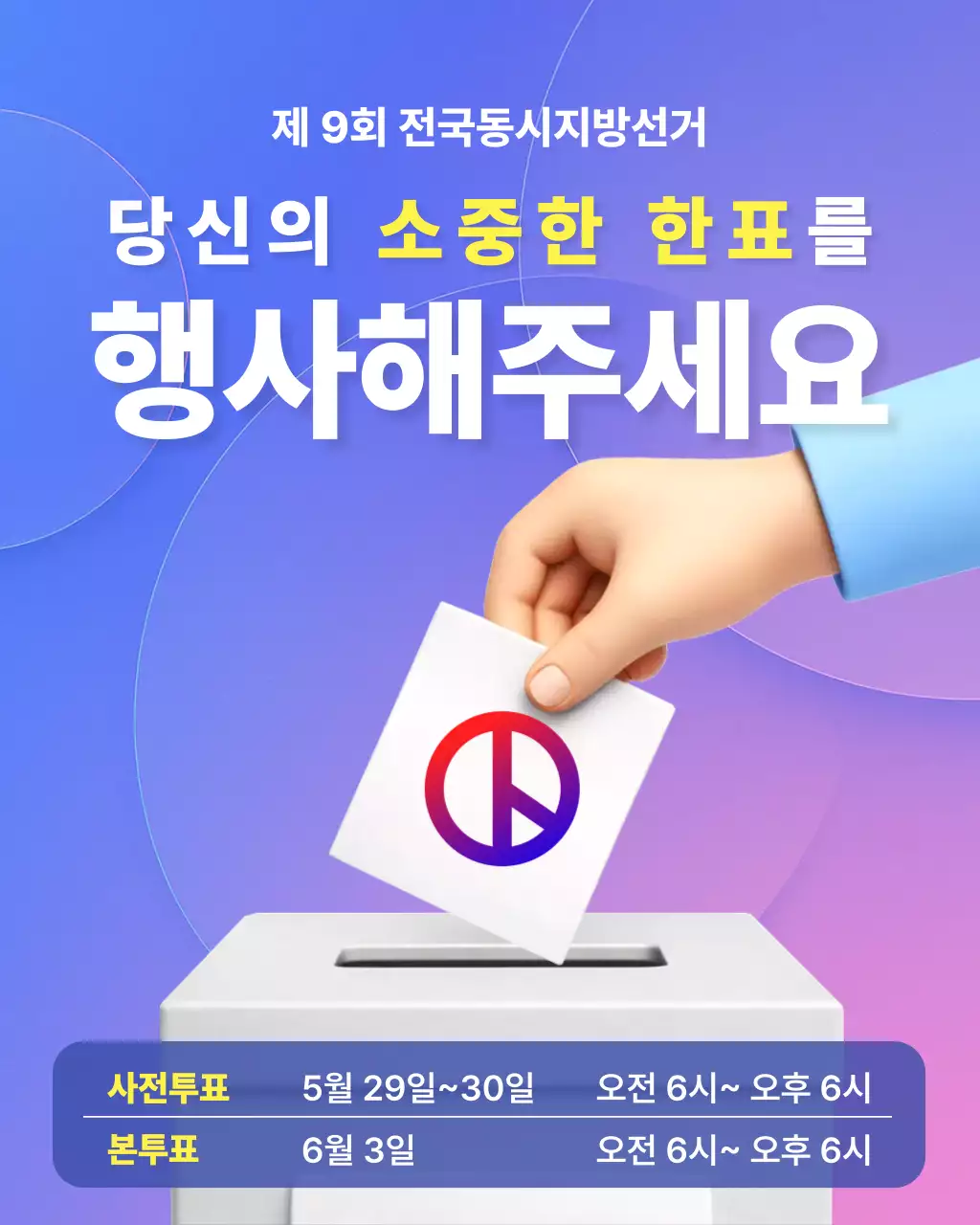 보라 심플 지방선거 안내