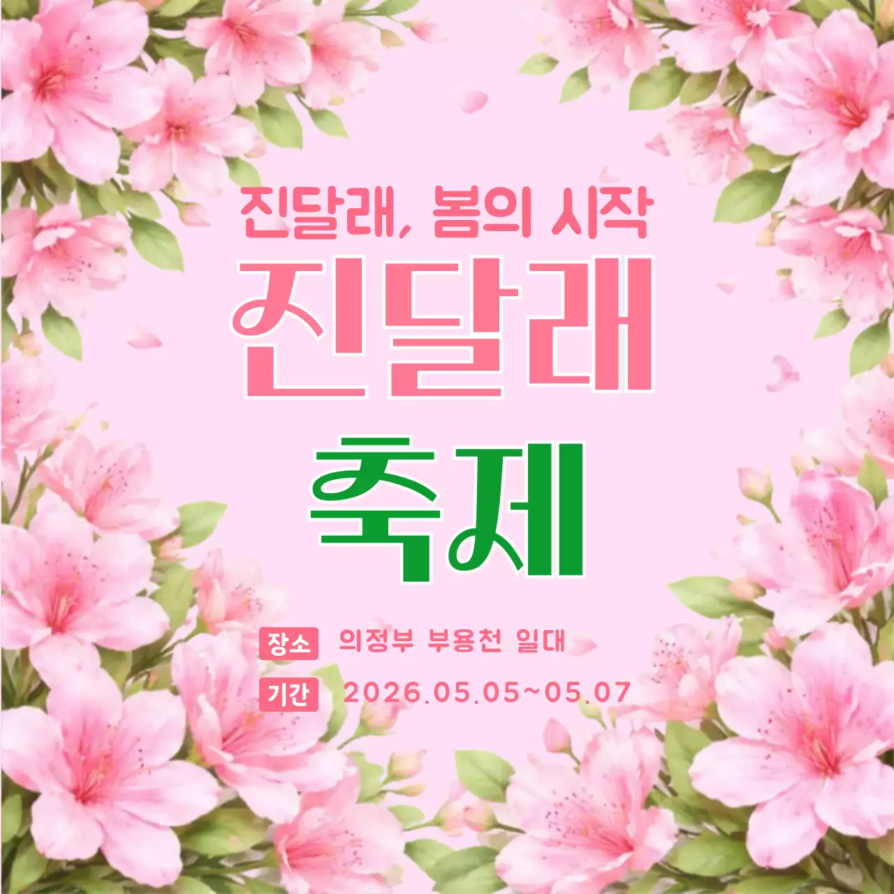 분홍색 깔끔 진달래 축제 안내