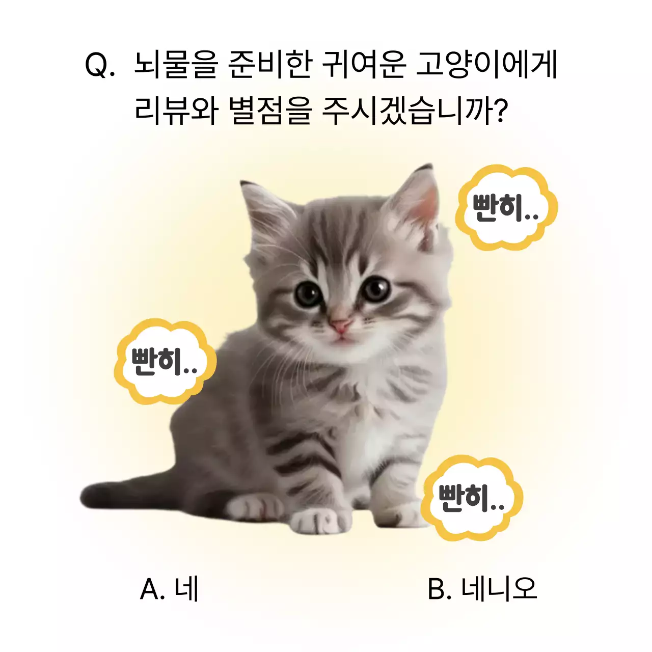 노랑 심플 고양이 리뷰 안내