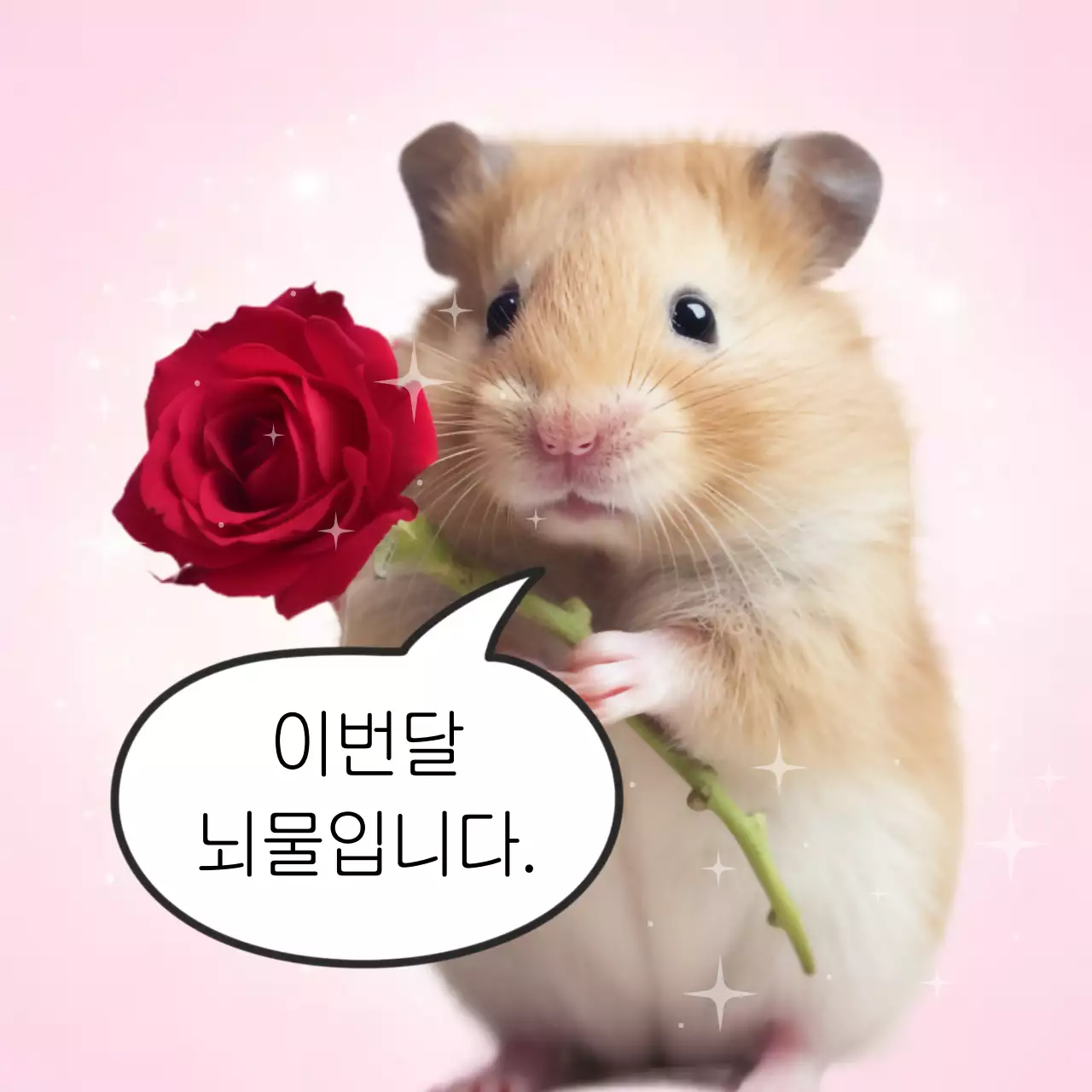 핑크 아기자기한 동물 캐릭터 짤