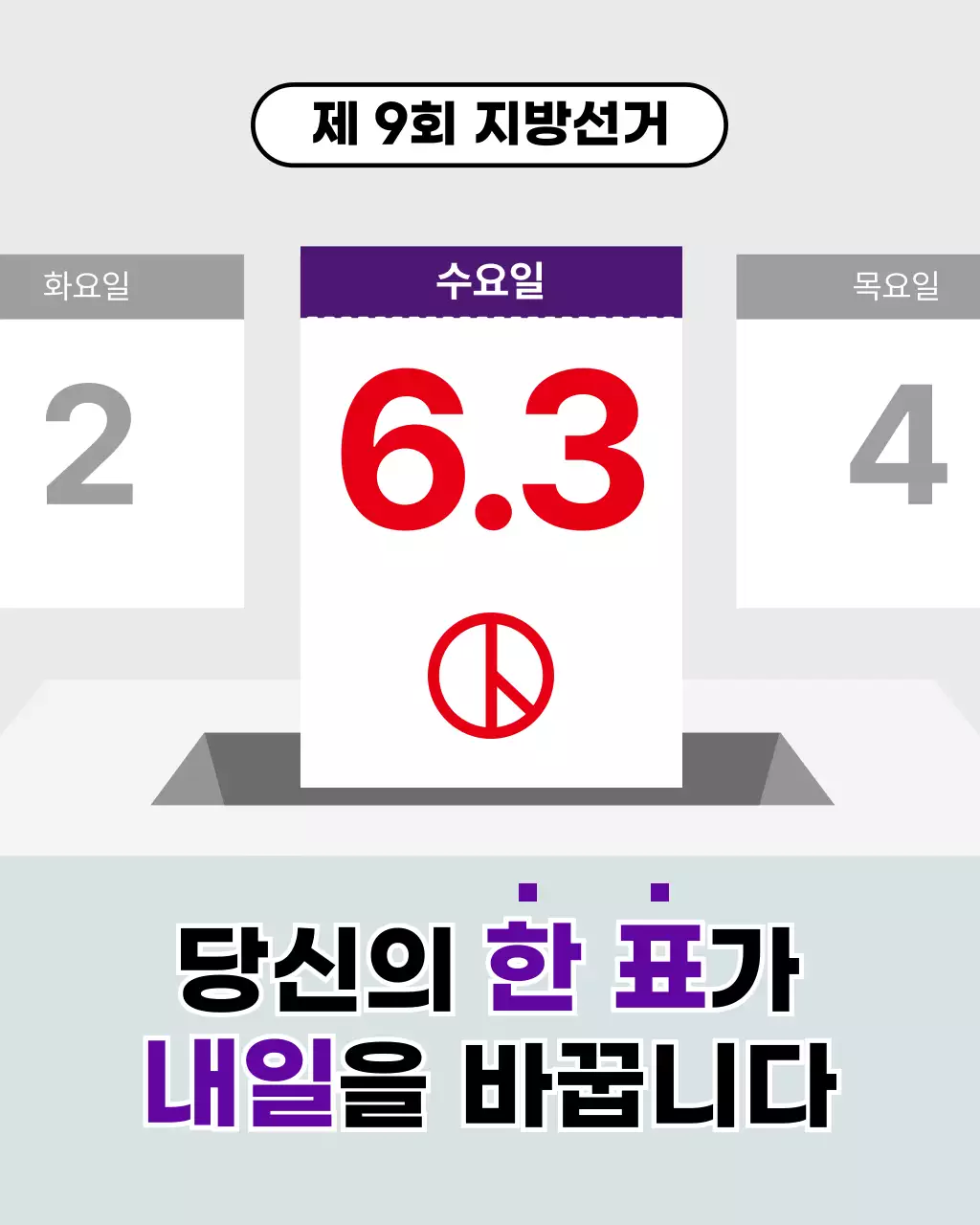 보라 심플 지방선거 홍보