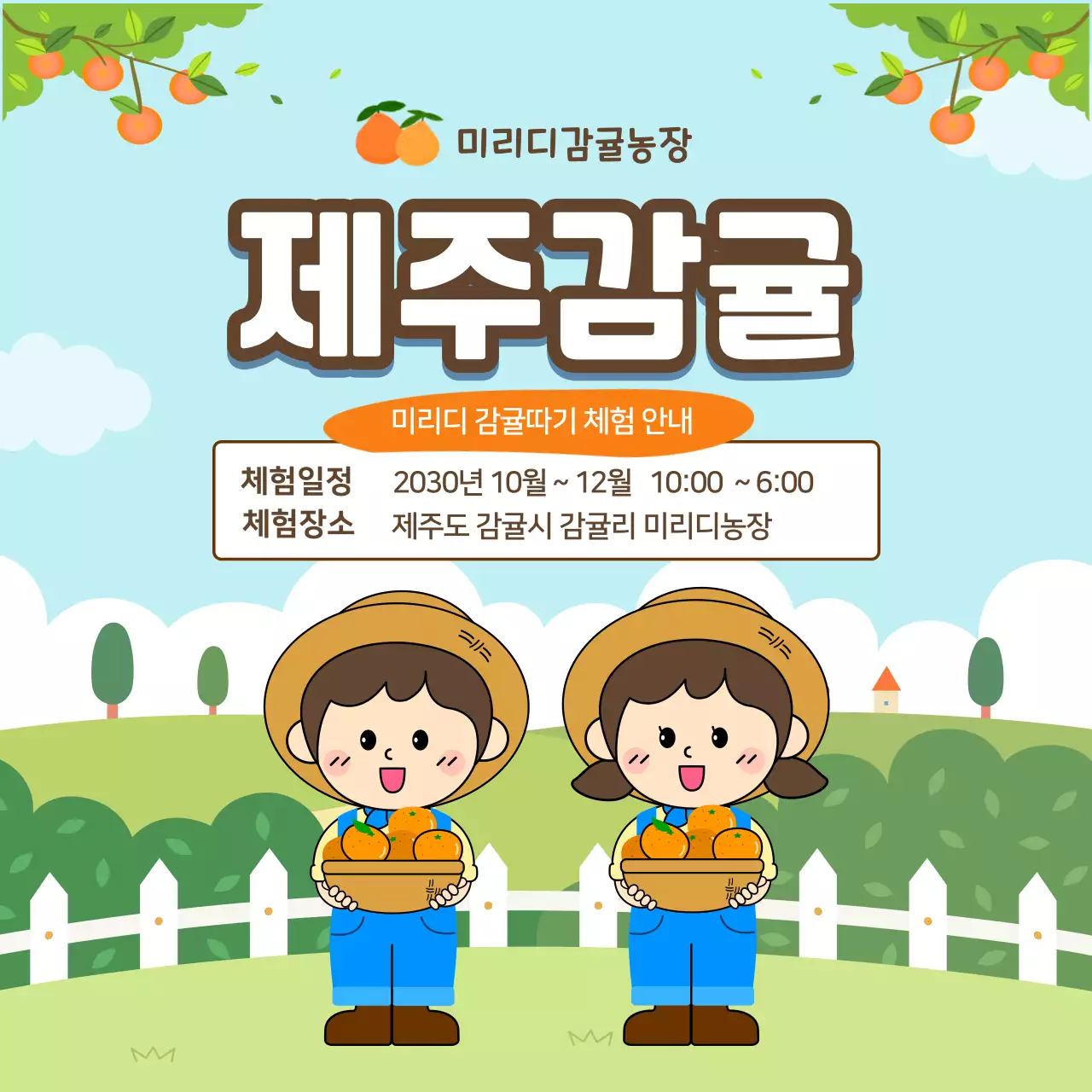 하늘색 깔끔 제주감귤 체험 안내