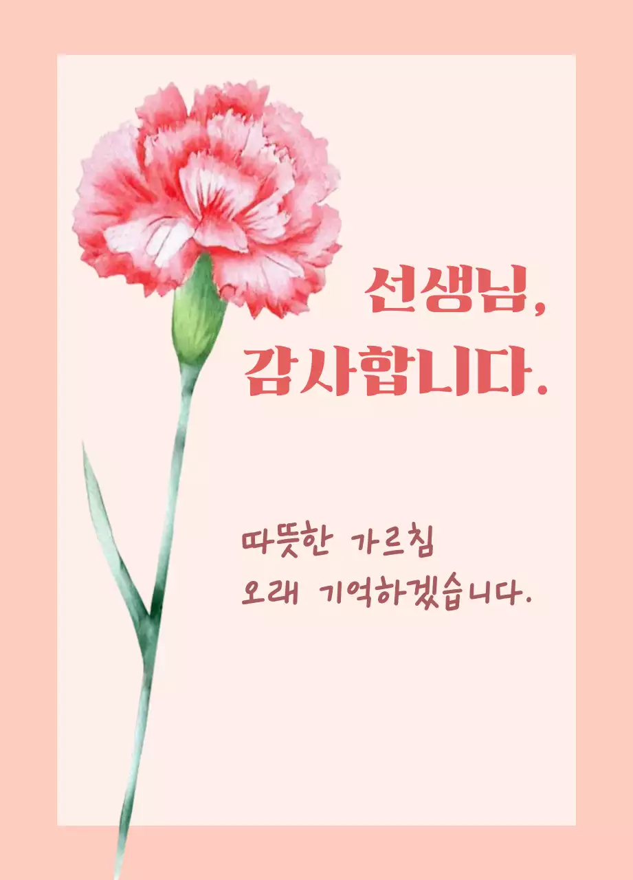 카네이션 수채화 심플 스승의날 감사