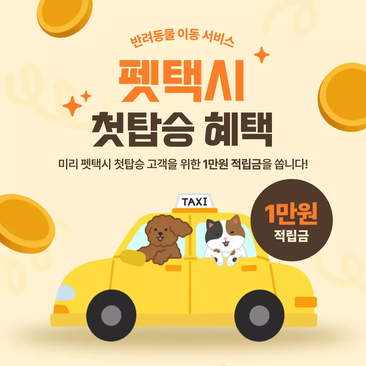 주황 심플 반려동물 이동 서비스 홍보