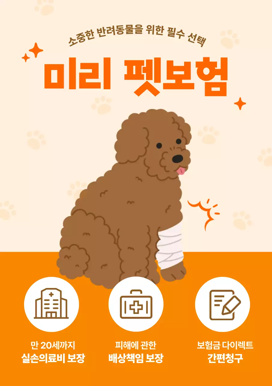 주황 깔끔 반려동물 보험 홍보