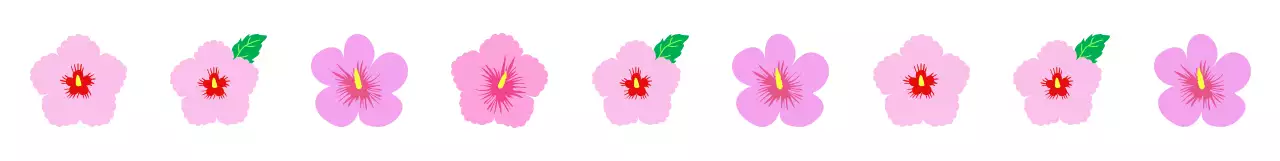 핑크 아기자기한 무궁화꽃 무늬 패턴 스티커