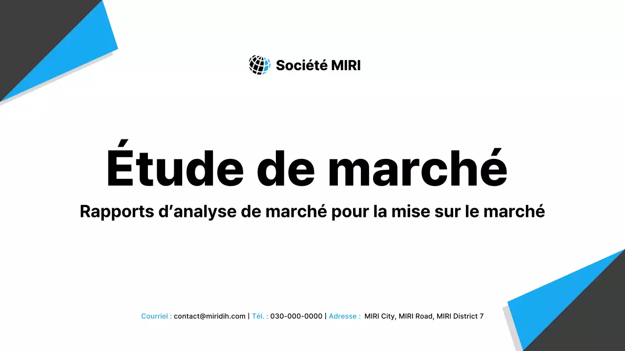 Analyse du rapport sur le marché noir moderne