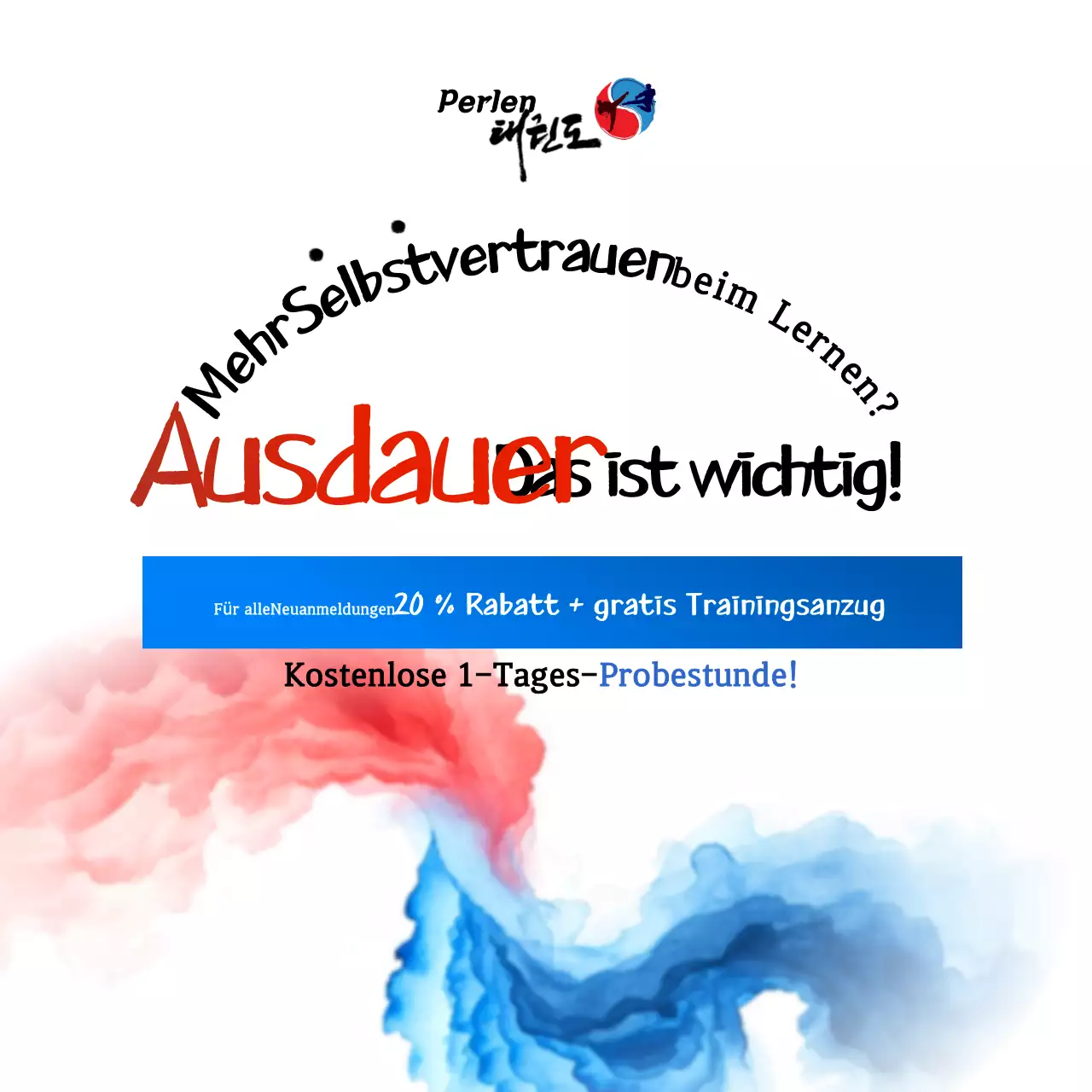Red Modern Taekwondo Promotion
