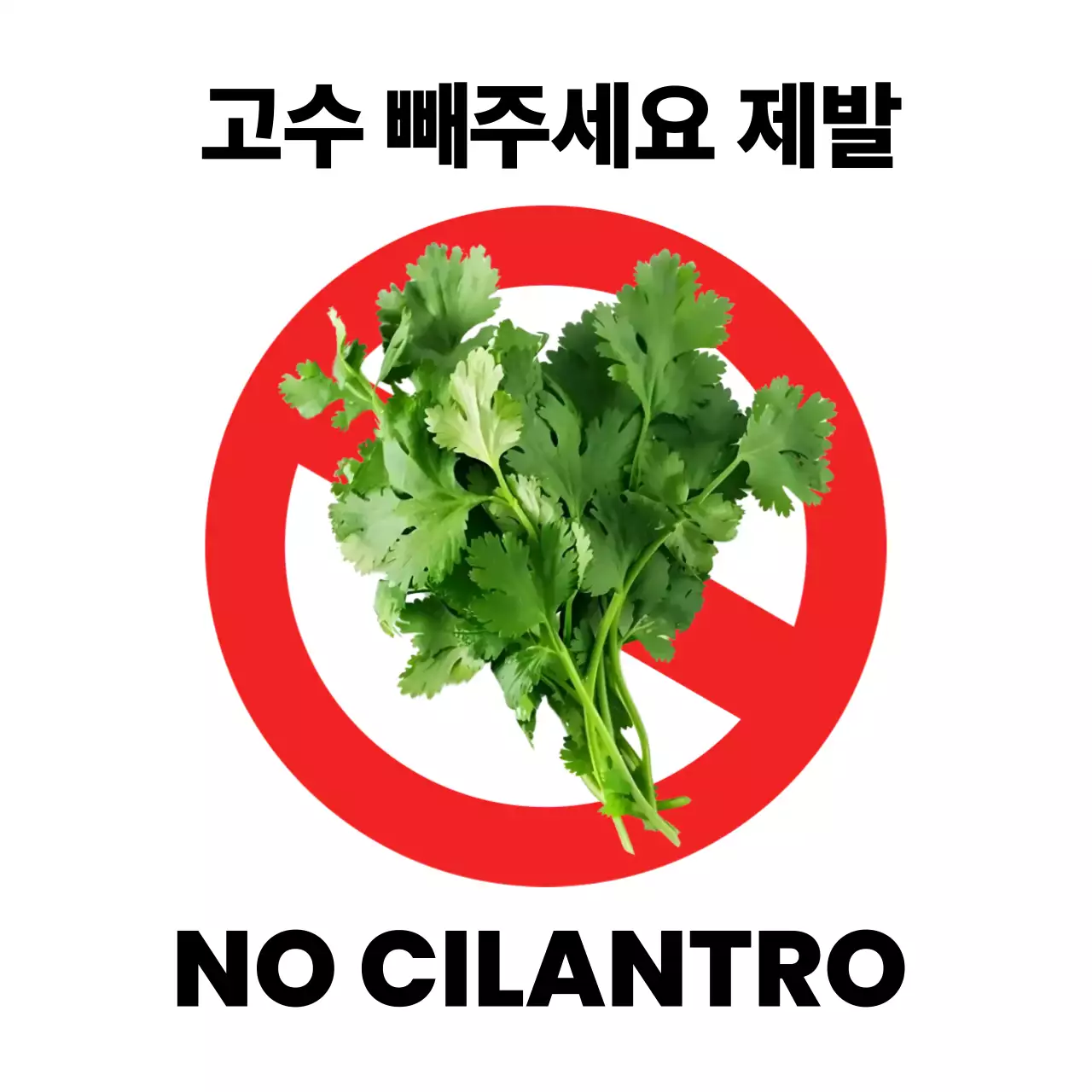 빨강 심플 음식 알레르기 안내