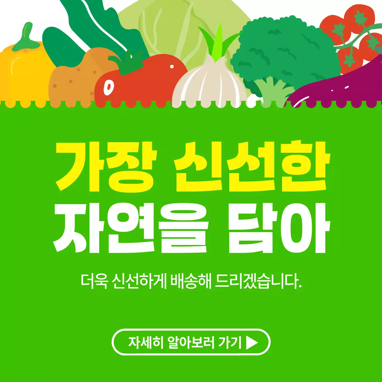 초록 심플 신선식품 배송 안내