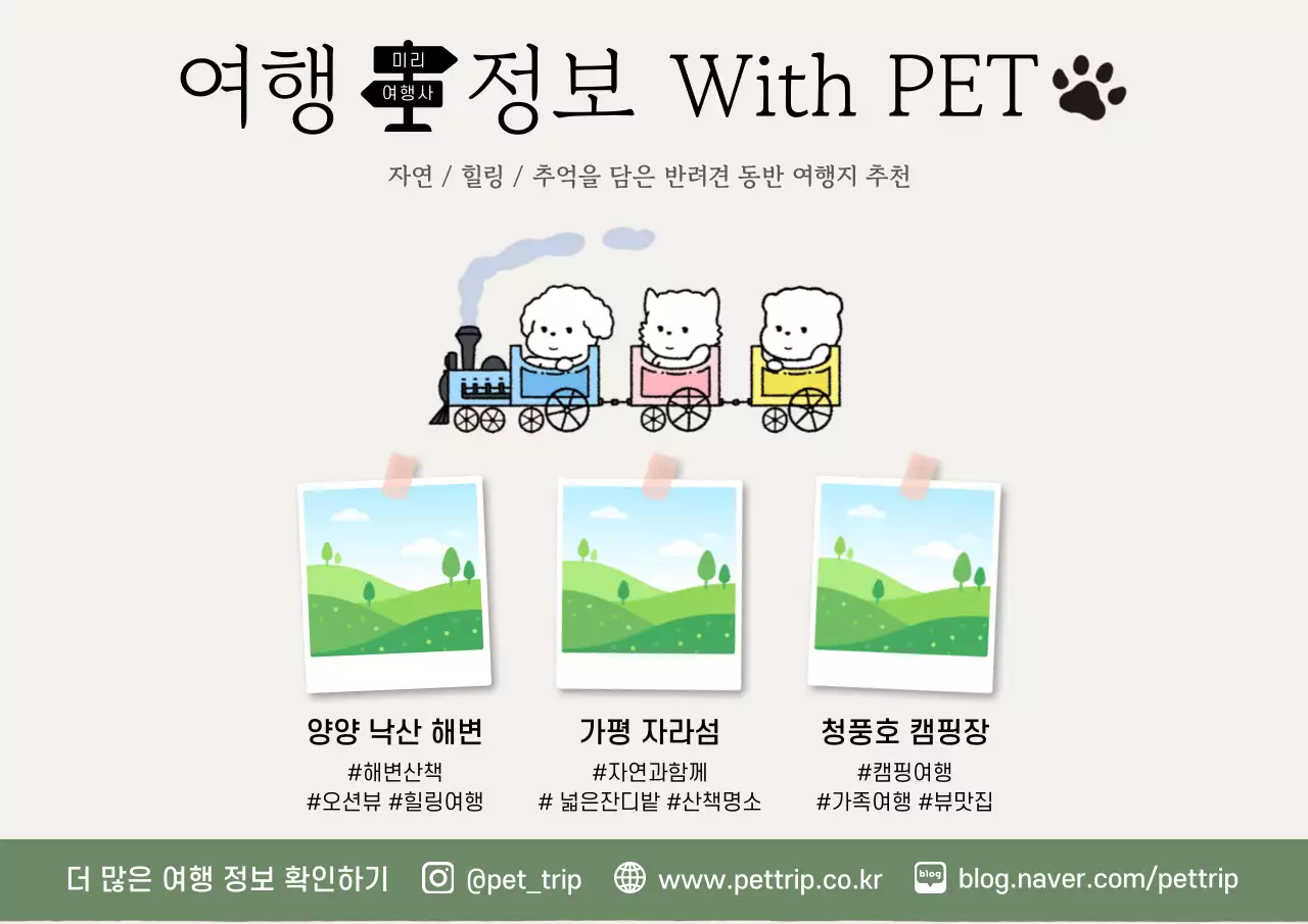 아이보리 심플 반려견 동반 여행지 소개