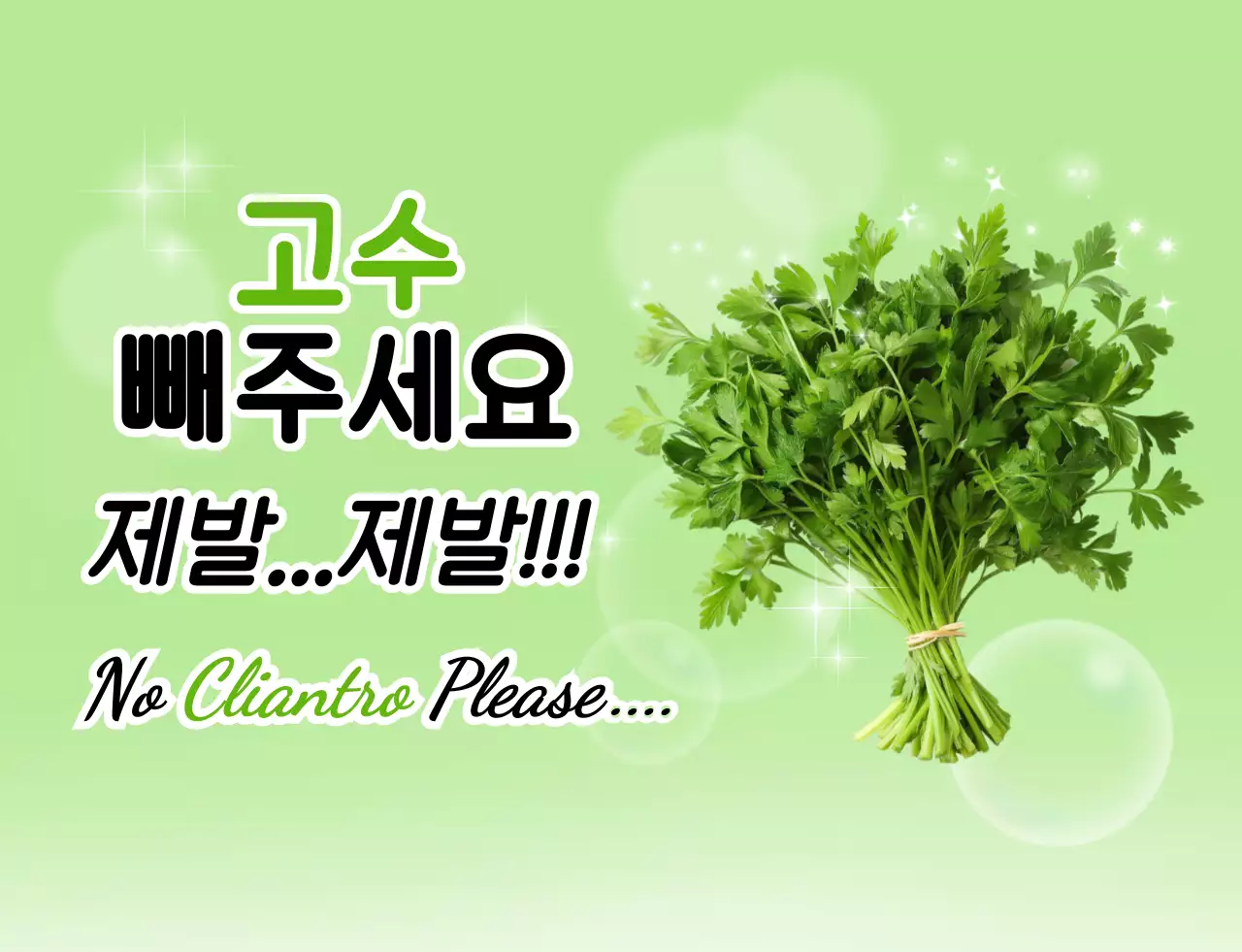 초록 심플 고수 요리 안내