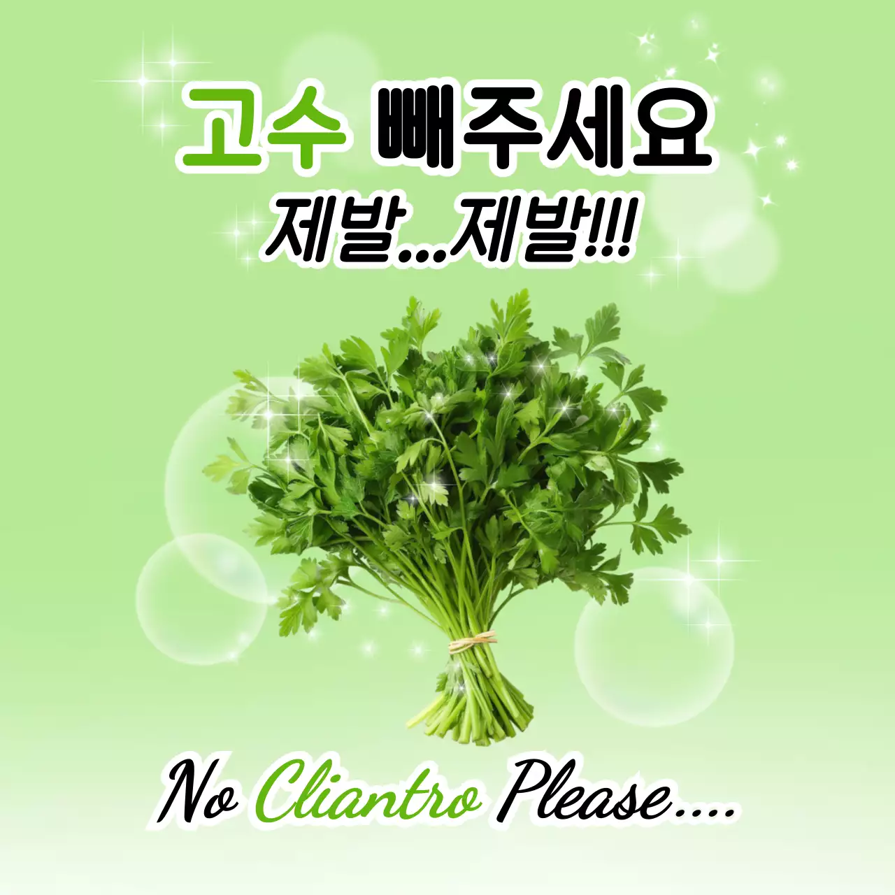 초록 심플 고수 요리 안내