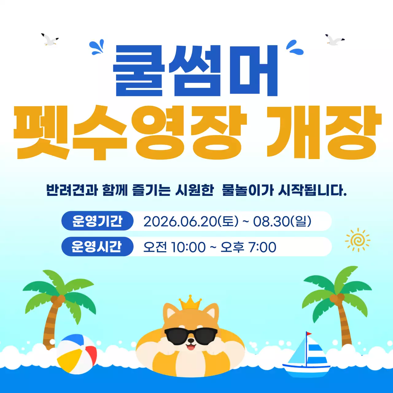 파랑 모던 펫수영장 개장 안내