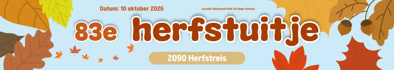 Eenvoudige picknickgids voor de herfst in oranje